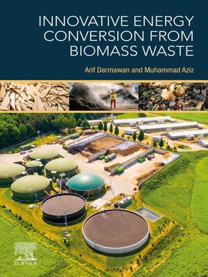 cover image of Innovative Energy Conversion from Biomass Waste